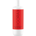 IGR_Developer_10_vol